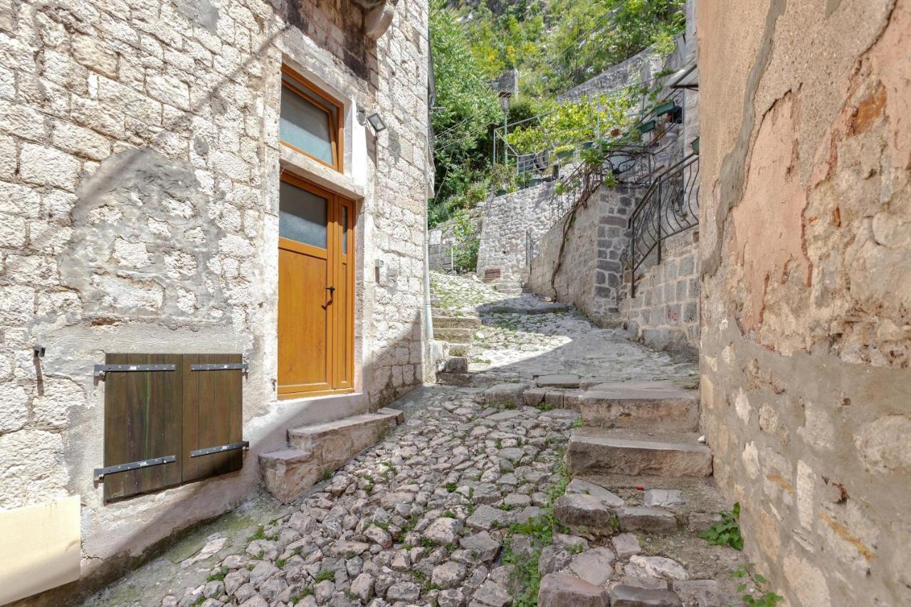 Historical Heart Apartment Kotor Zewnętrze zdjęcie